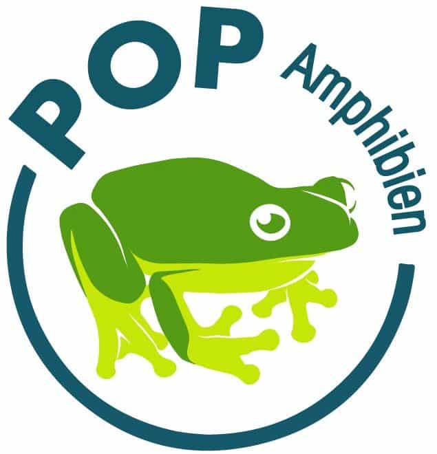 POP Amphibien