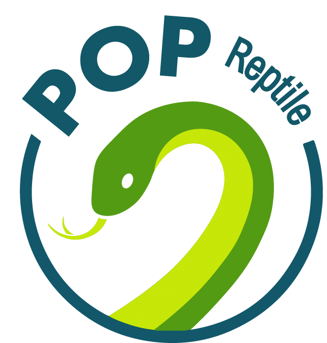 POP Amphibien
